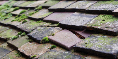Impington roof repair costs